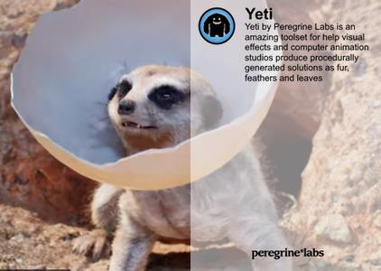PeregrineLabs Yeti 4.2.6 (x64)