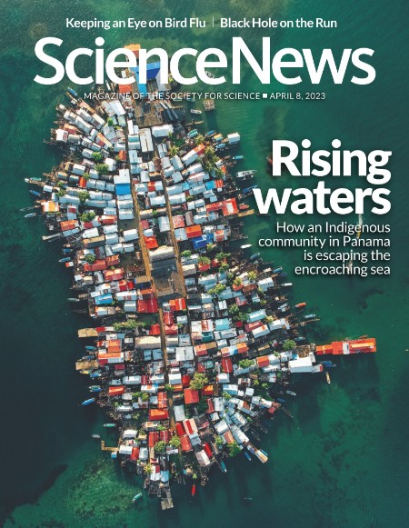 Science News - 08 April 2023