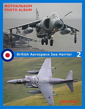 British Aerospace Sea Harrier (2 )