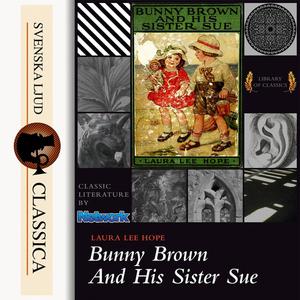Bunny Brown and his Sister Sue by Laura Lee Hope