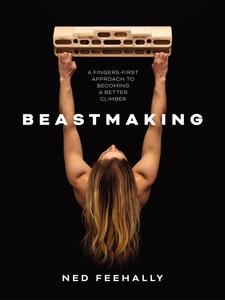 Beastmaking A fingers-first approach to becoming a better climber