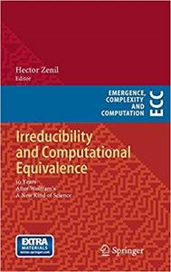 Irreducibility and Computational Equivalence 10 Years After Wolfram's A New Kind of Science