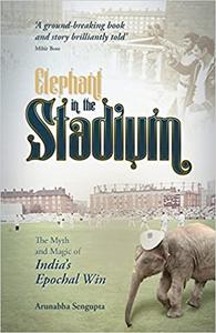 Elephant in the Stadium The Myth and Magic of India’s Epochal Win
