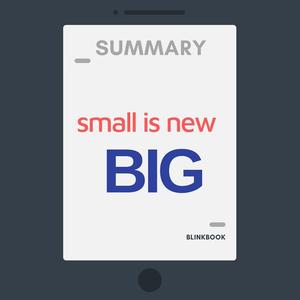 Summary Small is the New Big by R John