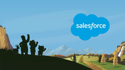 Salesforce Essentials - The Complete Bootcamp 52c3995f20b6067b5bb1411746ed1110
