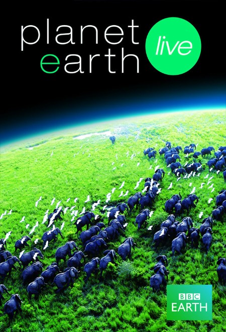 AREA21 Live On Planet Earth 2023 1080p WEB h264-WEBLE