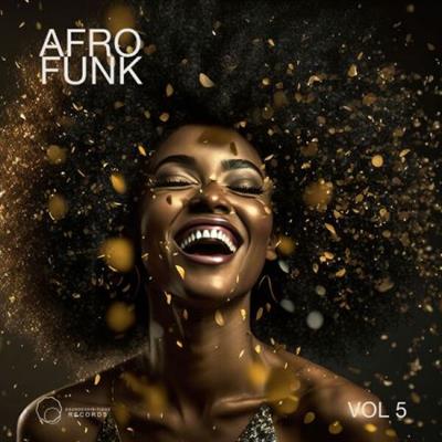 Various Artists - Afro Funk Vol 5  (2023)