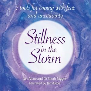 Stillness in the Storm 7 Tools for Coping With Fear and Uncertainty [Audiobook]