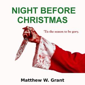 Night Before Christmas by Matthew Grant