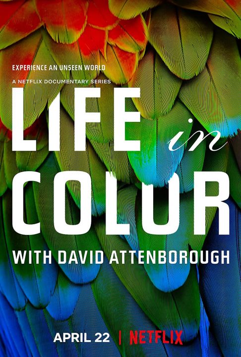 David Attenborough: życie w kolorze / Life in Colour with David Attenborough (2022) [SEZON 1] PL.1080i.HDTV.H264-B89 | POLSKI LEKTOR