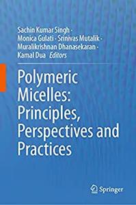 Polymeric Micelles Principles, Perspectives and Practices