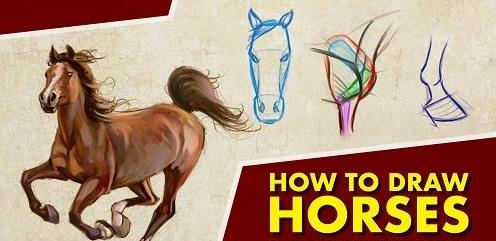 How To Draw Horses – A Beginner's Guide –  Download Free