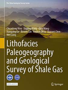 Lithofacies Paleogeography and Geological Survey of Shale Gas (EPUB)