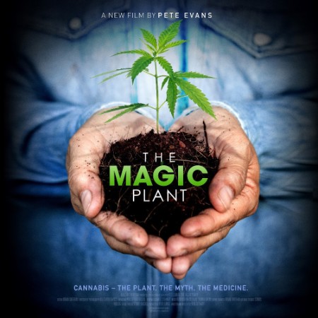 The Magic Plant 2020 1080p WEBRip x265-RARBG