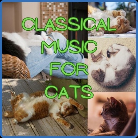 Classical Music for Cats (2023)