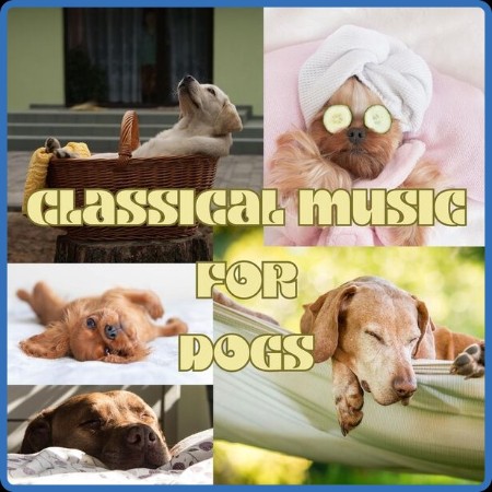 Classical Music for Dogs (2023)