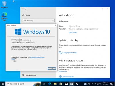 Windows 10 Pro 22H2 build 19045.2846 Preactivated Multilingual April  2023