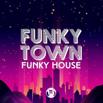 VA - Funky Town Funky House (2023) MP3