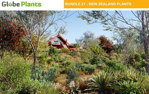 Globe Plants - Bundle 21 - New Zealand Plants