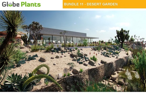 Globe Plants - Bundle 11 - Desert Garden