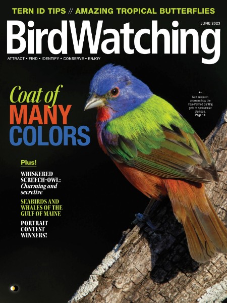 BirdWatching USA - May/June 2023