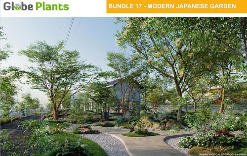 Globe Plants - Bundle 17 - Modern Janapese Garden