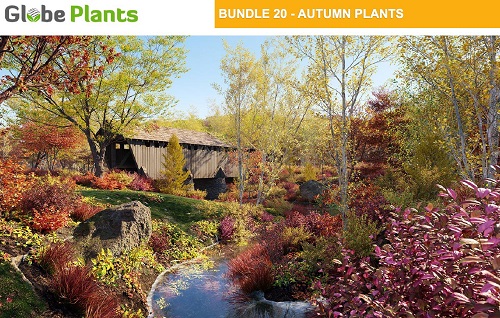 Globe Plants - Bundle 20 - Autumn Plants