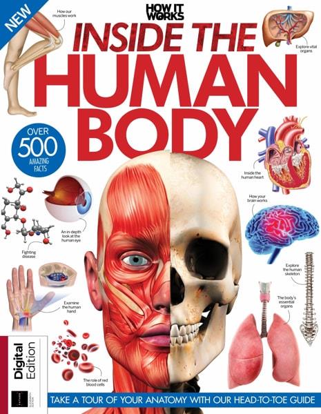 Картинка How It Works Inside The Human Body - 11th Edition 2023