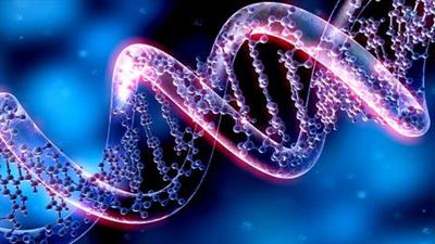 Genetics Study, Dna, And Chromosomes  Mutations Fe67304051ac7c23a3565ba641cabfd3