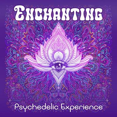 VA - Enchanting Psychedelic Experience: Trippy Journey to Yourself (2023) (Hi-Res)  FLAC/MP3