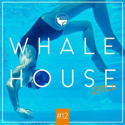 Various Artists - Whale House Chill 12  (2023)