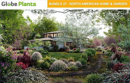 Globe Plants - Bundle 27 - North American Home & Garden Plants