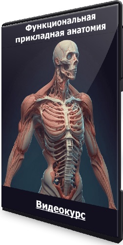 Функциональная прикладная анатомия (2023) Видеокурс