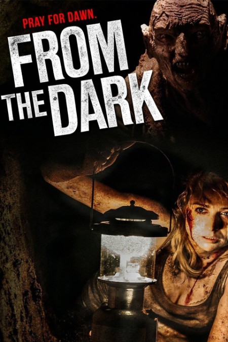 From The Dark 2014 1080p BluRay x265-LAMA