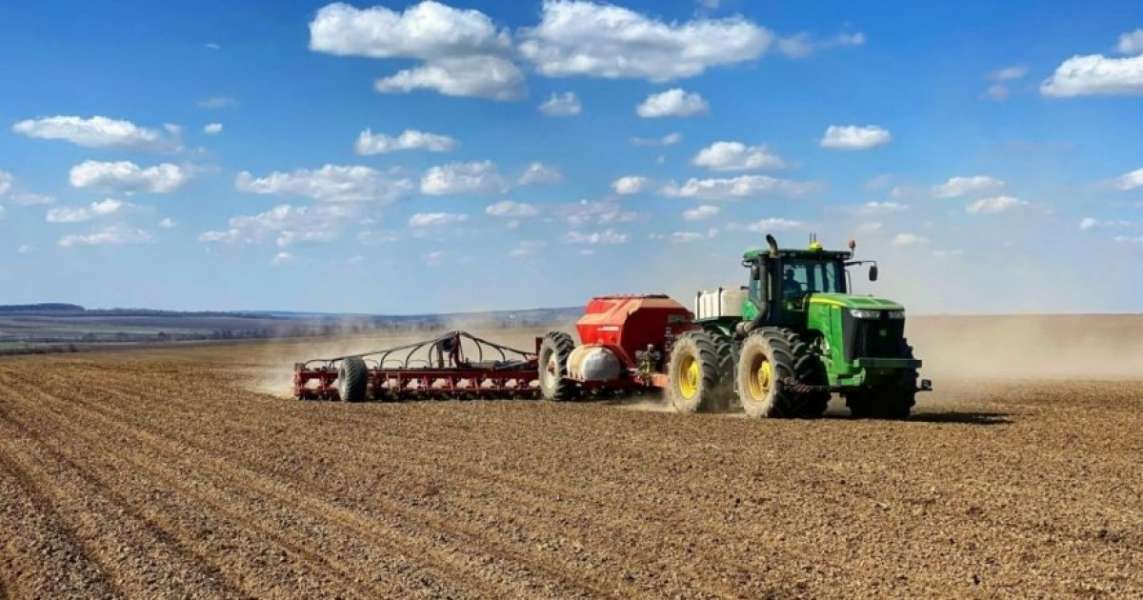 В Україні посіяно перші гектари кукурудзи