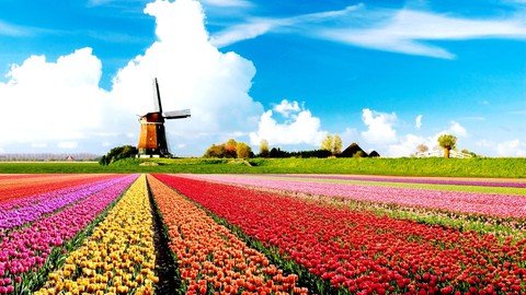 The Complete Dutch Beginner Mastercourse (Level A0 To A1)