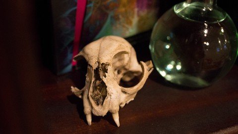 Bone Divination Fortune Telling With Bones