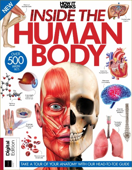 How It Works  Inside the Human Body