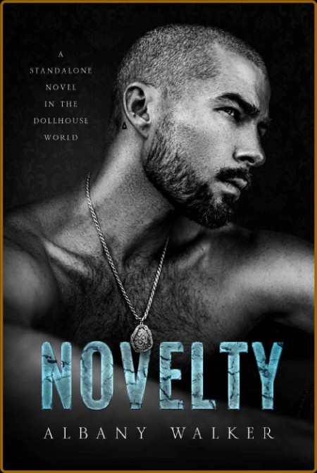 Novelty (A Dollhouse Novel Standalone Book 3) (Albany Walker)