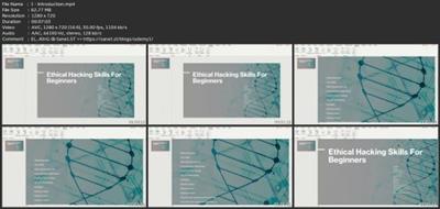 Ethical Hacking Skills For  Beginners Cf052d6ee95bf07c4435519936ca0794