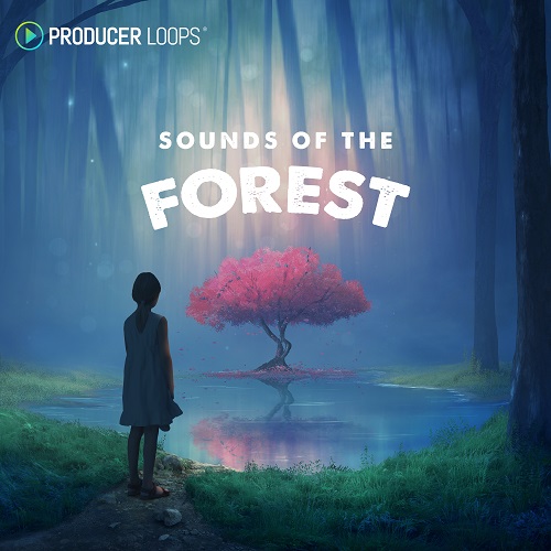 Producer Loops Sounds of the Forest MULTiFORMAT