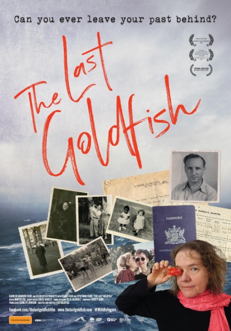 The Last Goldfish 2017 1080p WEBRip x265-LAMA