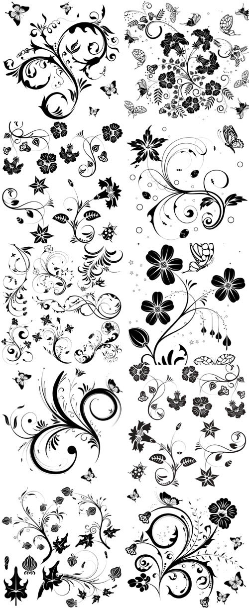 Floral, frame, dividers, scrolls, line, curls, patterns, borders, design elements, calligraphic, ornaments, decorative hand drawn vector set