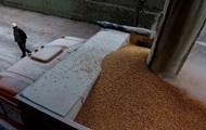 Нет оснований для запрета: в Чехии проверили зерно и мясо из Украины