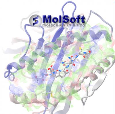 Molsoft ICM-Pro v3.9-3a  (x64)