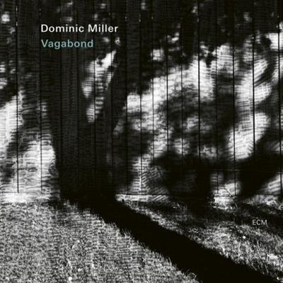 Dominic Miller - Vagabond (2023)  Mp3 / Flac / Hi-Res