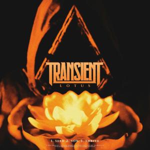 Transient - Lotus [EP] (2023)