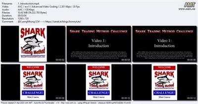 Shark Trading Method Stock Market Investing for  Beginners 3a33290cd43388a3e64eeb9eb8abd9a3