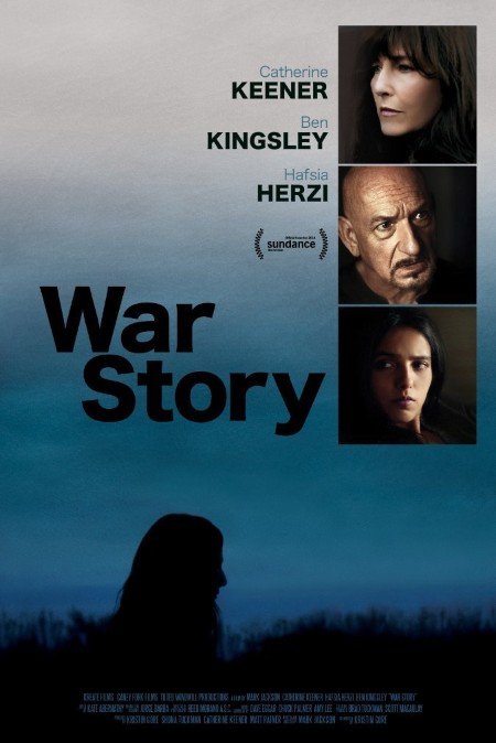 War STory 2014 1080p BluRay x265-RARBG