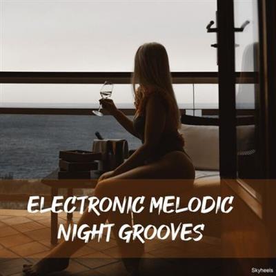 Various Artists - Electronic Melodic Night Grooves  (2023)